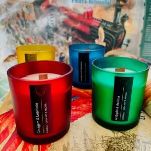 Coleção Casas de Hogwarts Harry Potter